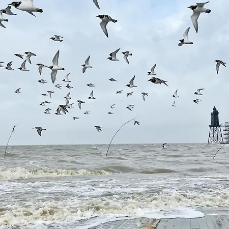 Apartament Direkt Am Deich! De Prigg