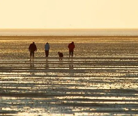 Direkt Am Deich! De Prigg Dorumer Neufeld