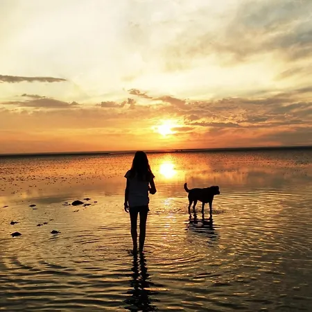 Direkt Am Deich! De Prigg Apartament Dorumer Neufeld