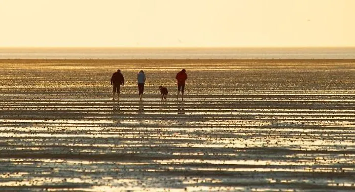 Direkt Am Deich! De Prigg دورم نيوفيلد