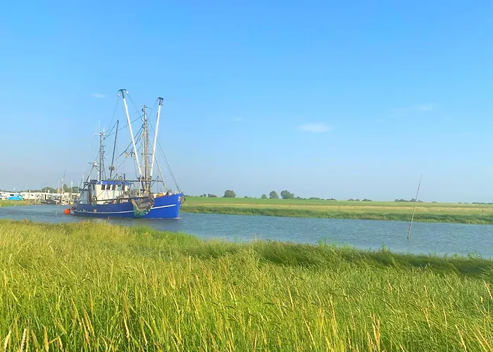 شقة Direkt Am Deich! De Prigg *