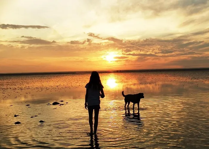 Direkt Am Deich! De Prigg شقة دورم نيوفيلد